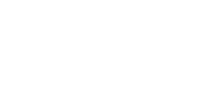 Leonardo D Logo