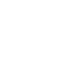 Stepper logo